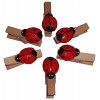 011 0840 Bug Set 6